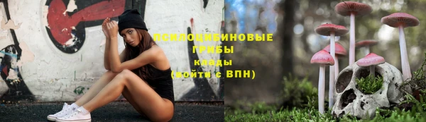 твердый Бугульма