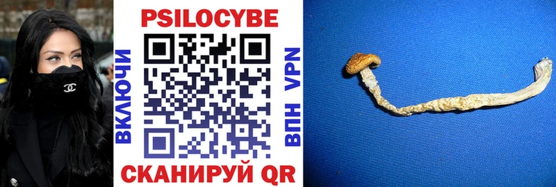 Купить где  Вышний Волочёк  Псилоцибиновые грибы прущие грибы 